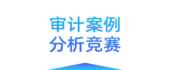 审计案例分析竞赛