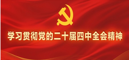 学习贯彻党的二十届四中全会精神